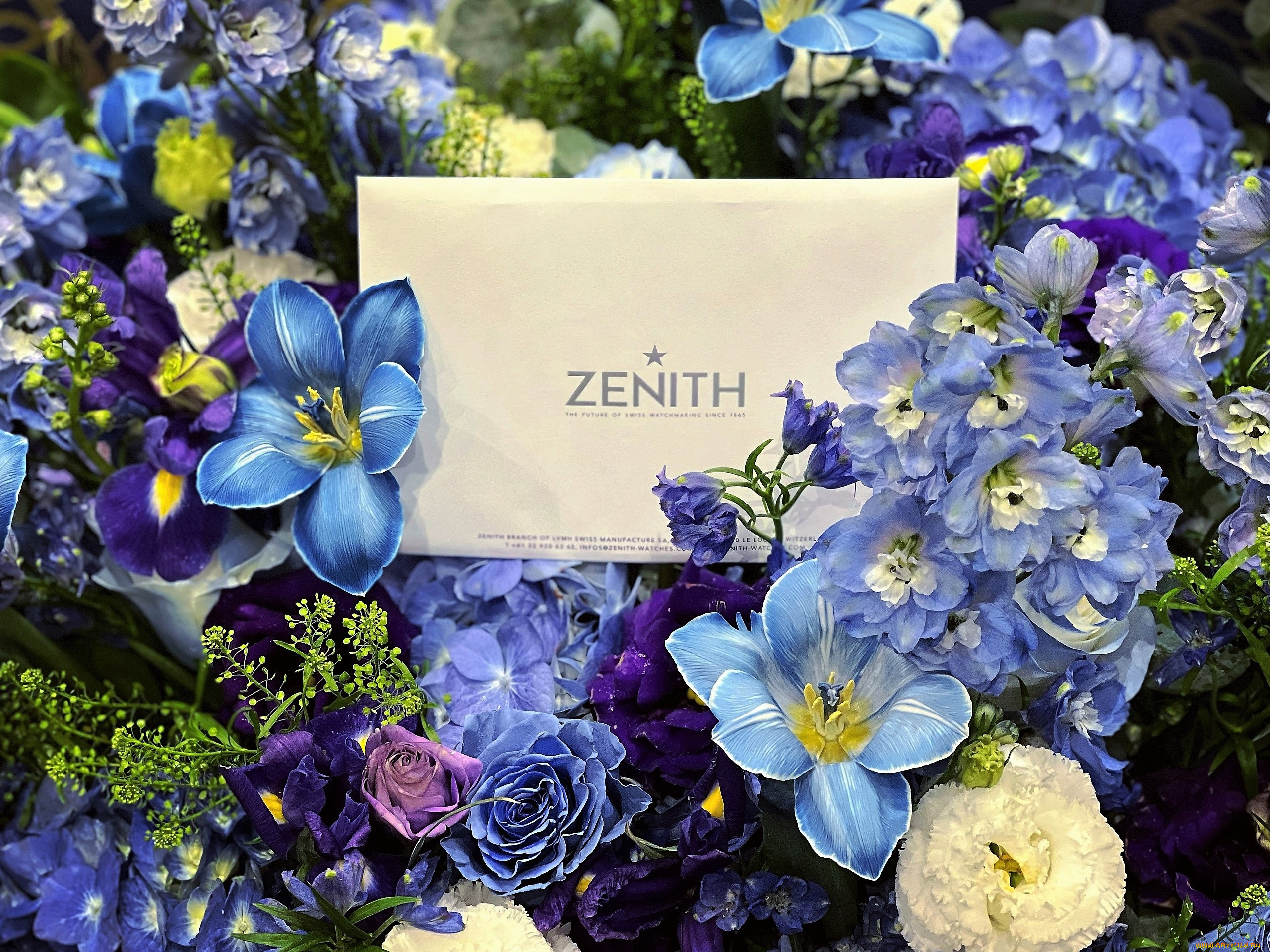 , zenith, , , 